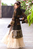 (Wedding Wear) (Royal Jacket) (Shamaeel Ansari)