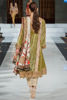 (Wedding Wear) (Green Palachi) (Shamaeel Ansari)