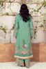 (Elegant Blossom) (EB-02) (Shamaeel Ansari)